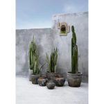 10df1ccb-ef77-4ffc-b37c-0e08c5552d1b_1200x1200_fill.jpg Miroir Coquille de Cactus - Blanc