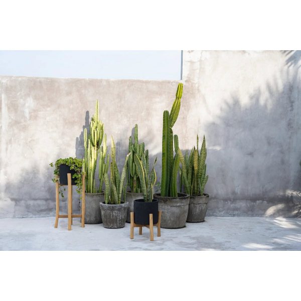 Le Charcoal Low - Noir Naturel - S