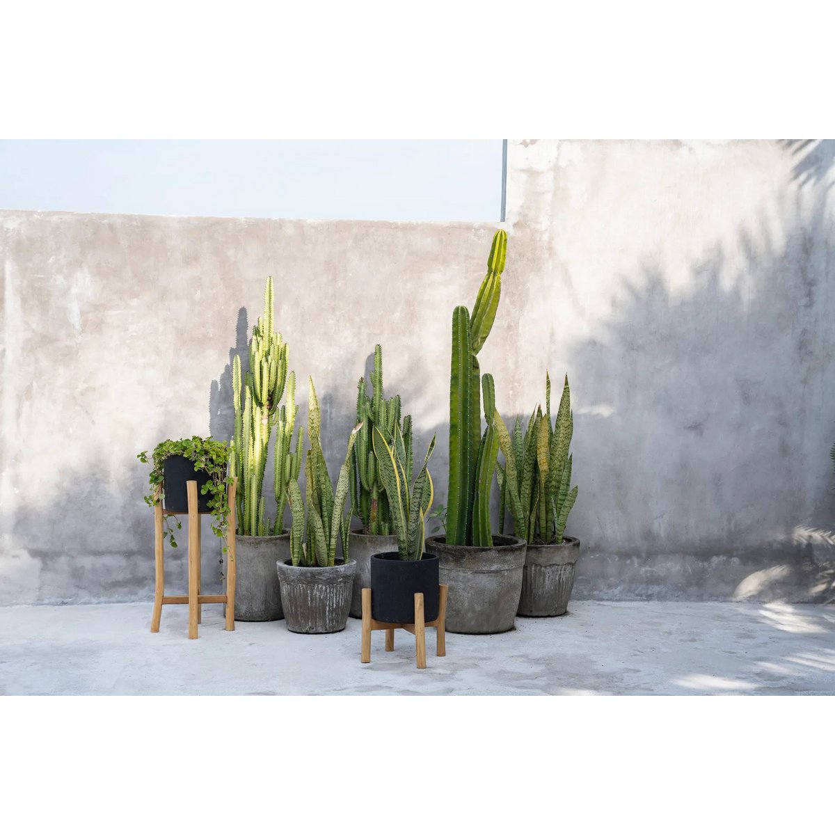 Le Charcoal Low - Noir Naturel - S – Image 3