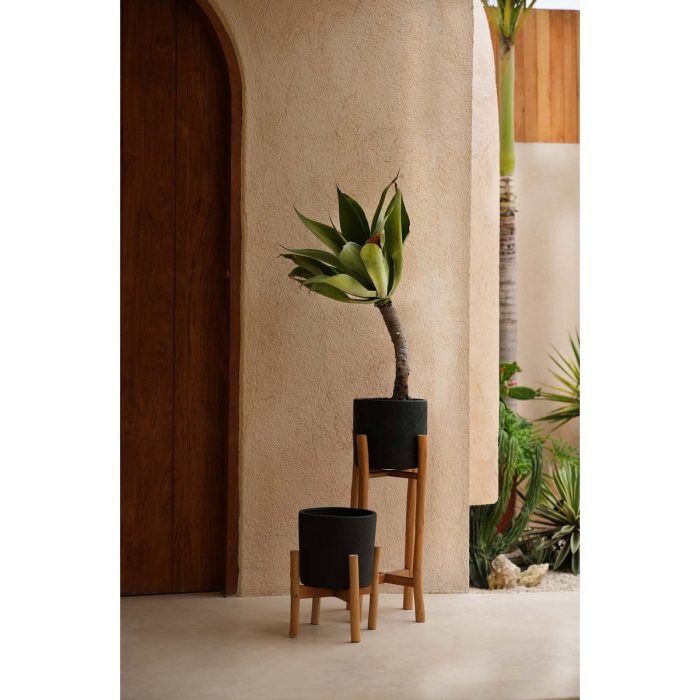 Le Charcoal Low – Noir Naturel – S