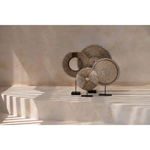 06264d77-01fb-4bd1-81a4-2072e391e355_1200x1200_fill.jpg Le Shell Corsica sur Pied