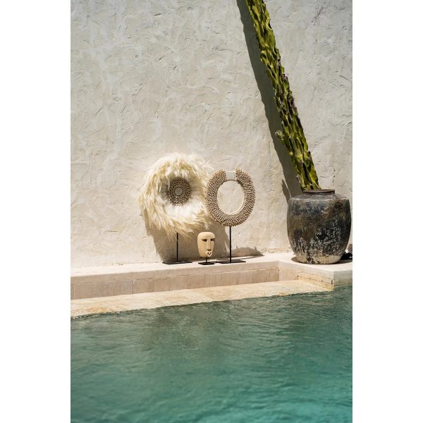 2a604ceb-f015-4977-9b61-94c9dd334d62_1200x1200_fill.jpg Disque de coquille de Papouasie