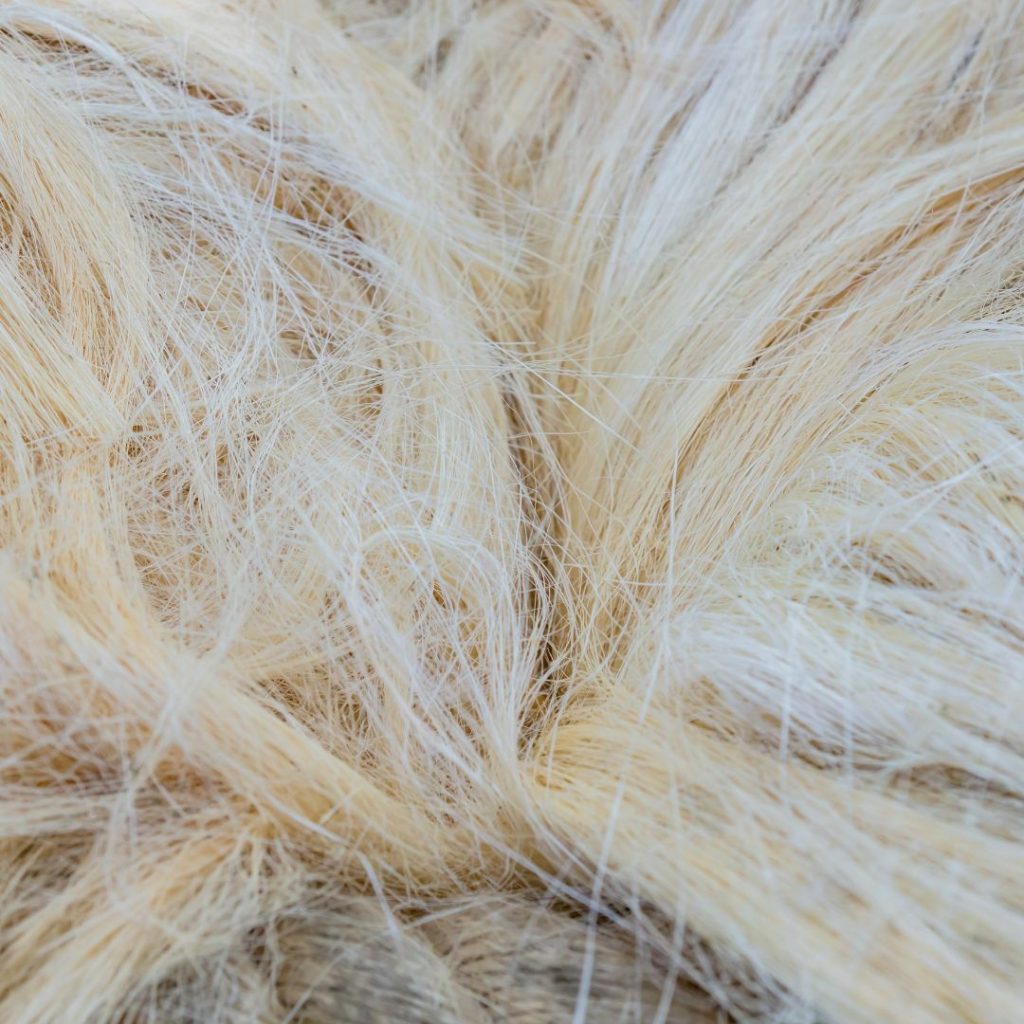 Les différentes fibres naturelles utilisées dans la décoration